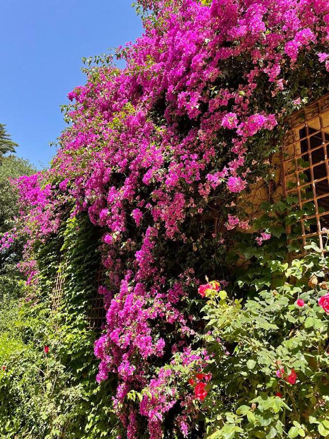 Can Codol De Fluvia - Casita Torroella de Fluvia Экстерьер фото
